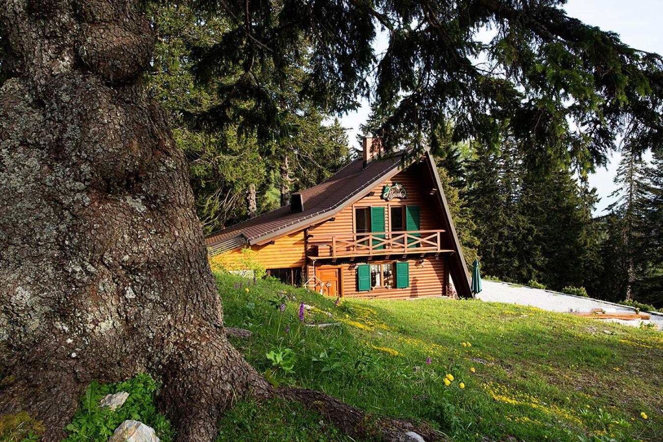 Chalet Alpinka Cerklje na Gorenjskem Extérieur photo